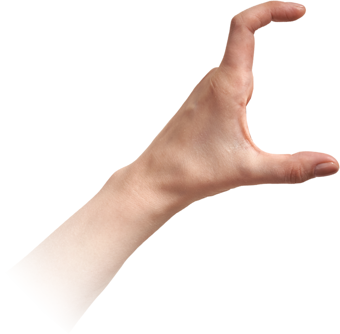hand holding phone