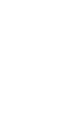 black phone